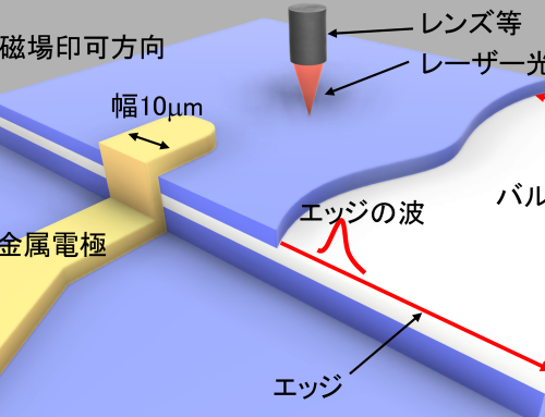 トポロジカル物質の 「端」と「内部」の空間伝搬を可視化 ～量子宇宙のシミュレーション実験への扉が開く～