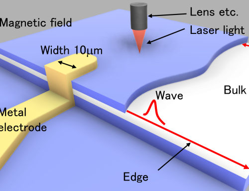 Opening the Door to Quantum Universe Simulation Experiments
